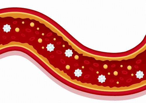 Účinky hydromasážnych trysiek v kúpacej kadi od Gardwells